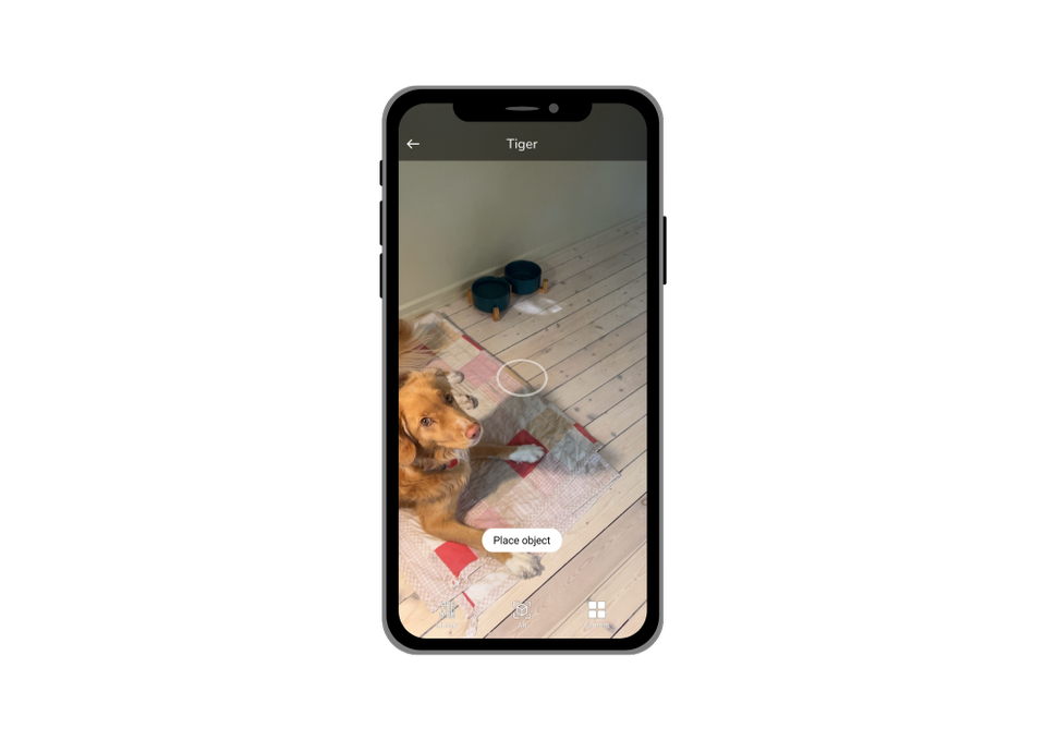 Et skjermdump tatt mens mobilen har Ludenso-appen åpen viser at kameraet ser en hund som ligger i et rom, og en hvit sirkel i appen markerer et felt på gulvet. 
