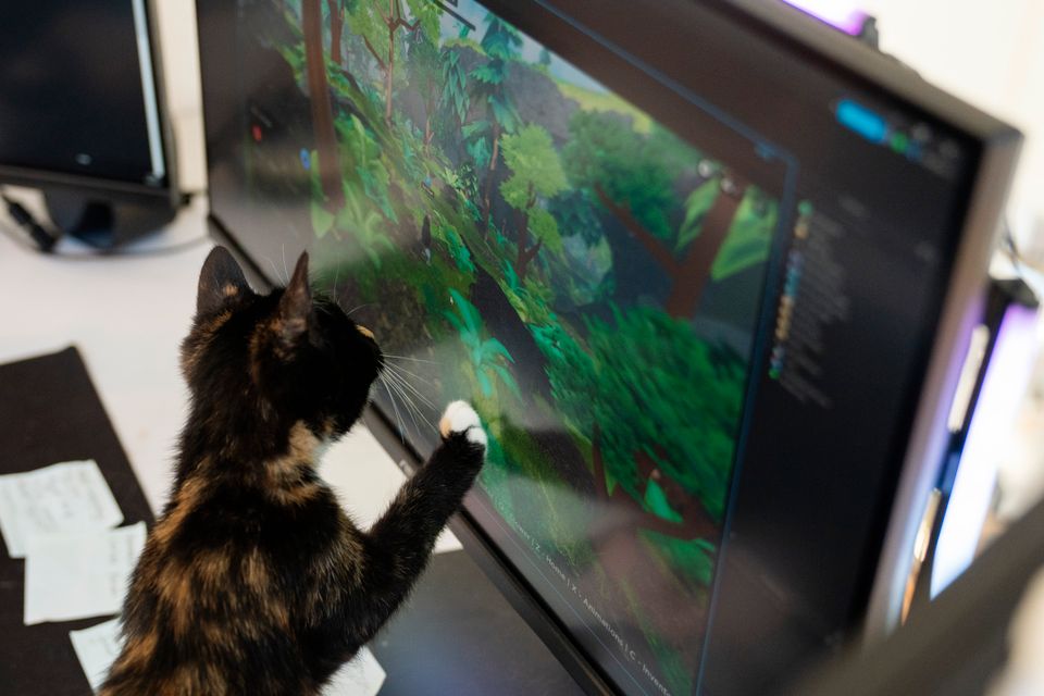 En katt skraper poten sin på PC-skjermen.