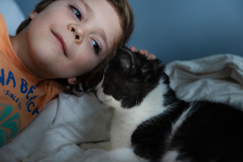 En gutt ligger tett inntil en hvit og sort katt i sengen sin og klapper den på hodet. 