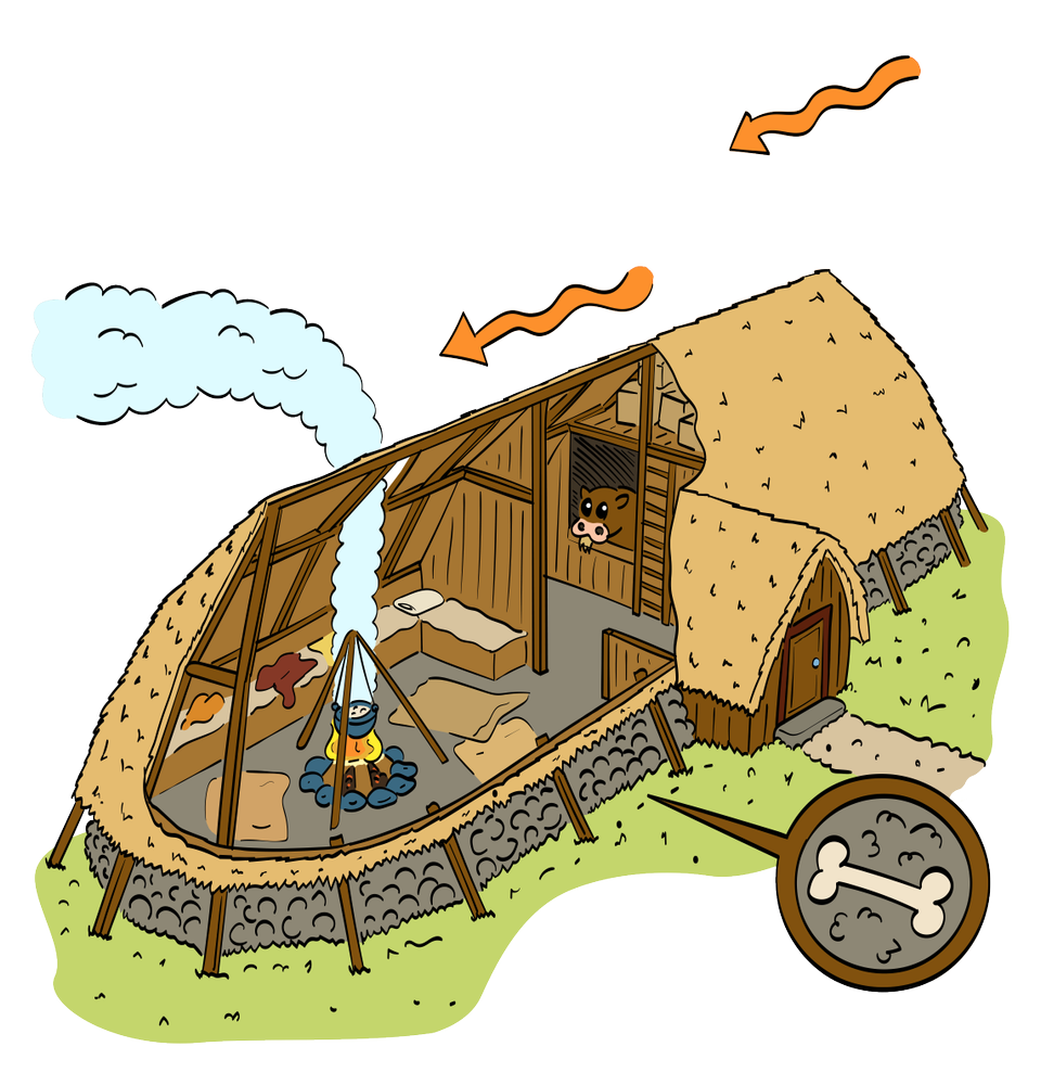 Et tegning av et hus som vikingene bodde i med bål og kjøkken i ene enden og soverom og fjøs i den andre.