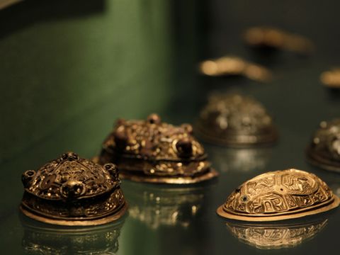 Flere smykker eller objekter i gull, med norrøne utskjæringer og mønstre, ligger på en glassplate, mot en grønn bakgrunn.