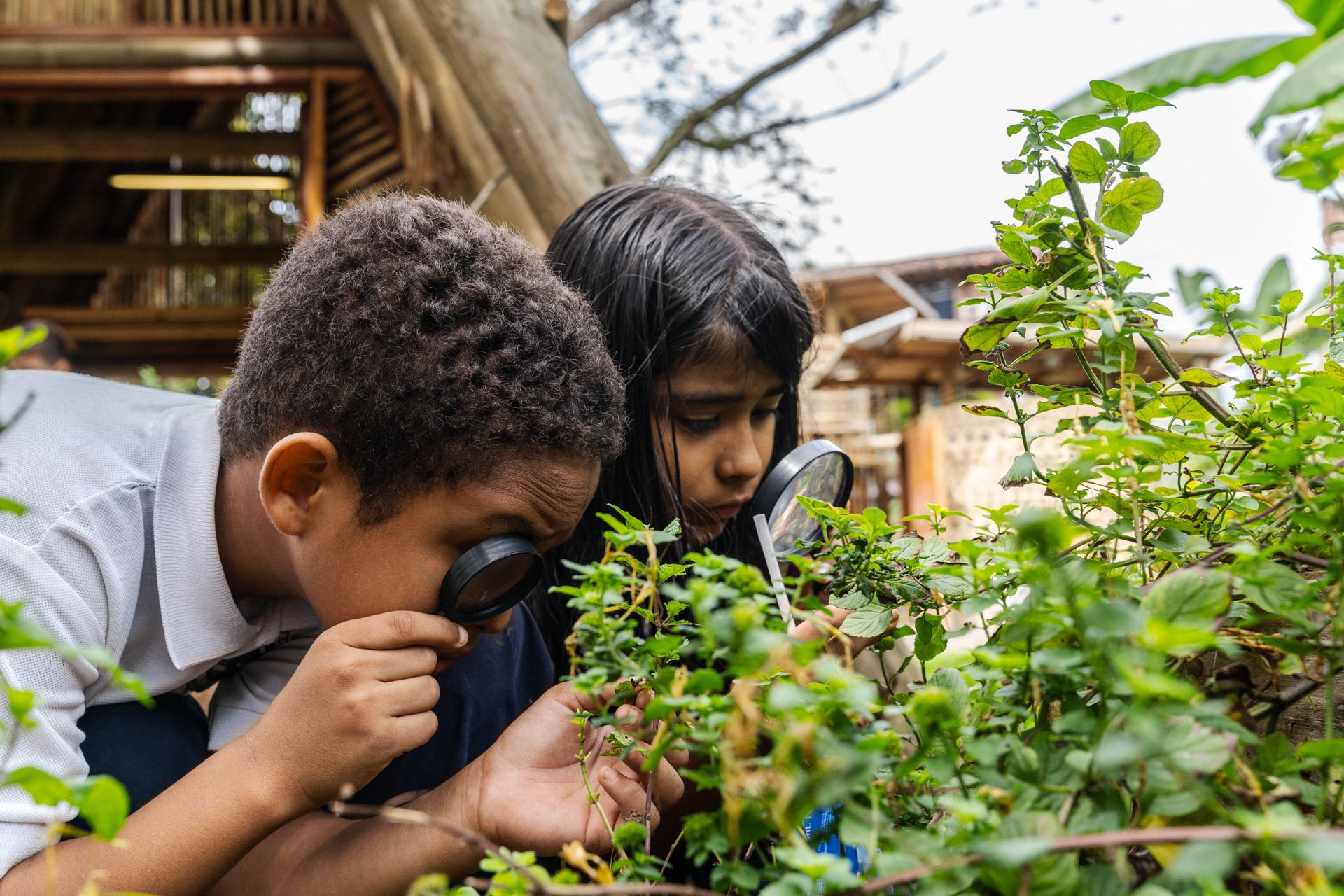 To barn med mørkt hår bruker forstørrelsesglass til å studere grønne planter utenfor en trekanformet bygning.
