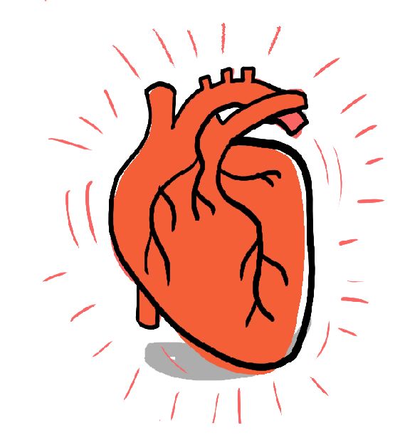 Tegning av en rød hjertemuskel som "banker" ekstra mye på en hvit bakgrunn.