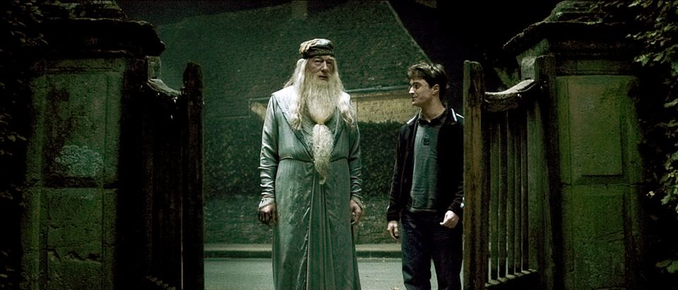 Humlesnurr og Harry Potter står sammen ved en port.