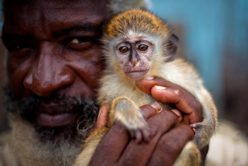 En mann holder en liten apekatt i armene.