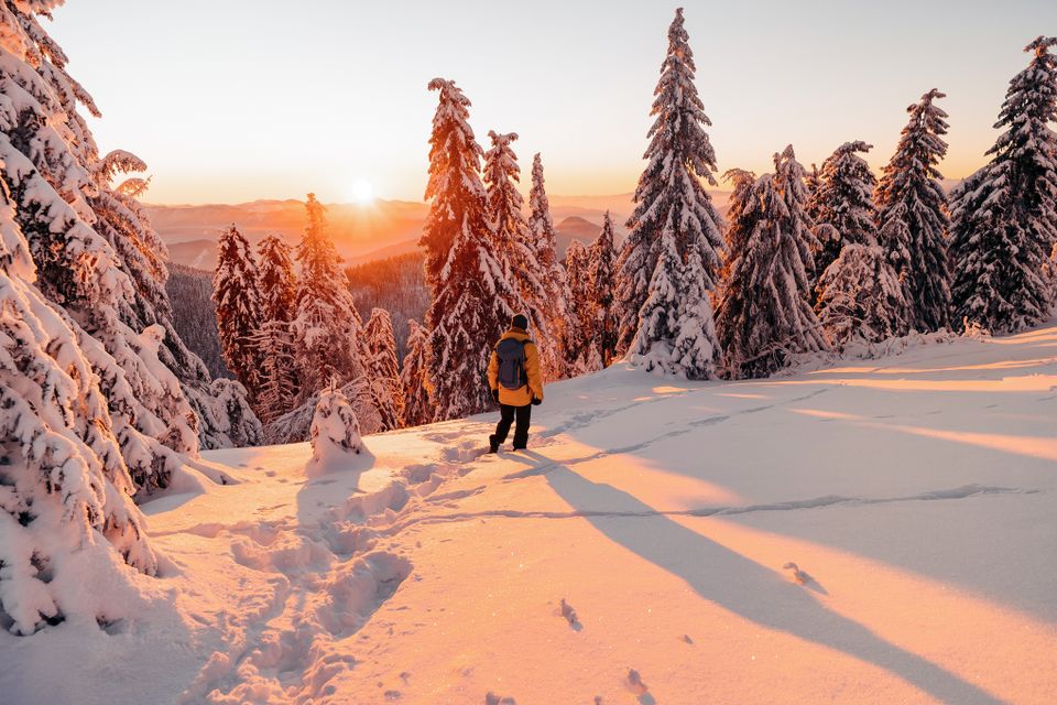 En person går i et fredelig skog-landskap, i dyp snø, mens solen går ned og kaster rødt lys mellom trærne.
