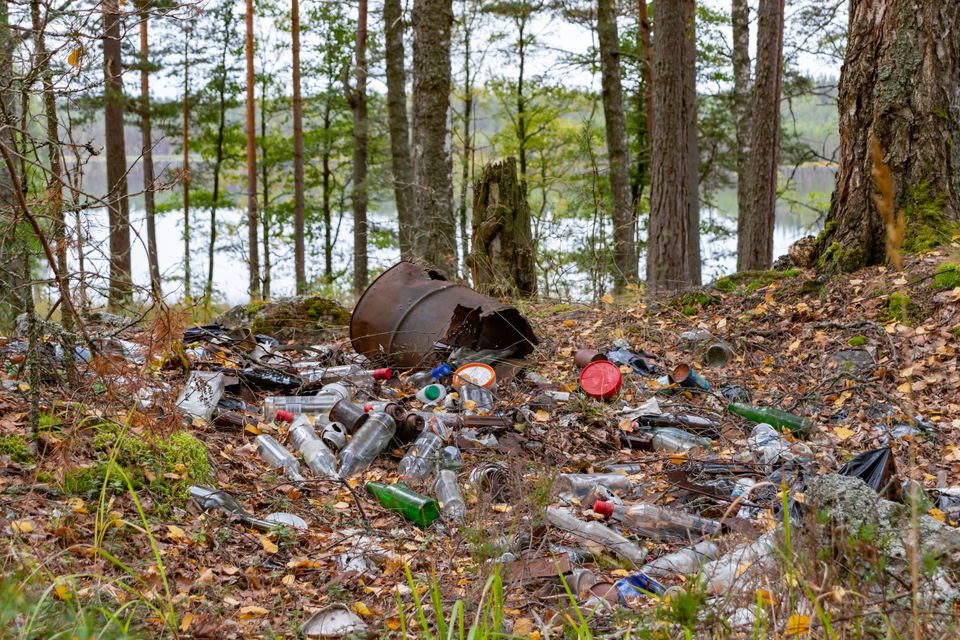 En rusten tønne og et tialls plast- og glassflasker ligger strødd i en skog ved en innsjø.