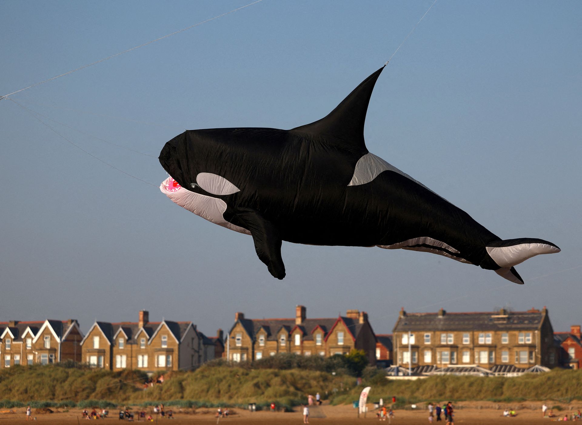 Et stort, svart og hvitt hvaldyr laget av et tynt stopp flyr høyt over store murhus ved en strand på en dag med blå himmel.
