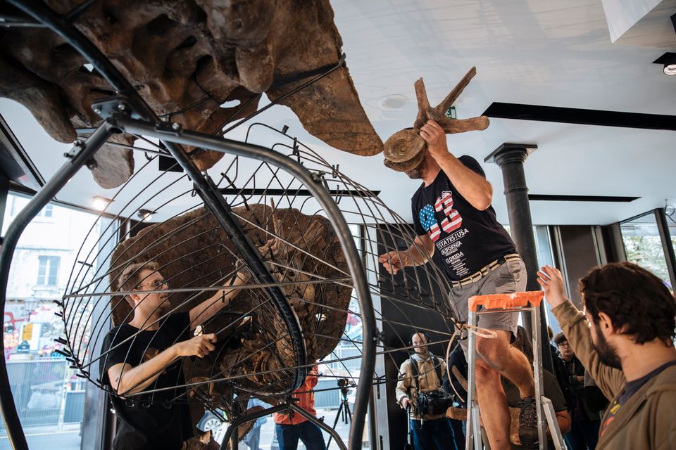 Tre menn setter brune dinosaurbein på en gråsvart stålkonstruksjon formet som en dinosaurkropp.