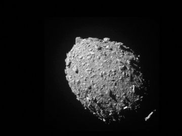En grå, steinete, rund asteroide ses mot en svart himmel. 