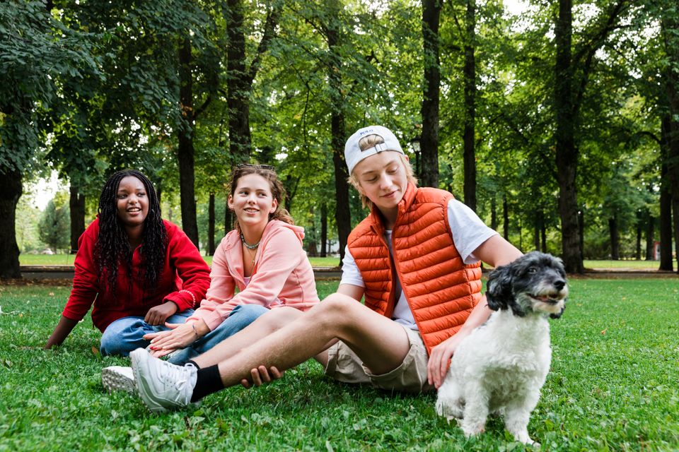 To tenåringsjenter sitter i bakgrunnen, og en gutt med vest og caps sitter i forgrunnen sammen med en liten hund med hvit pels, på gressplenen i Frognerparken i Oslo.