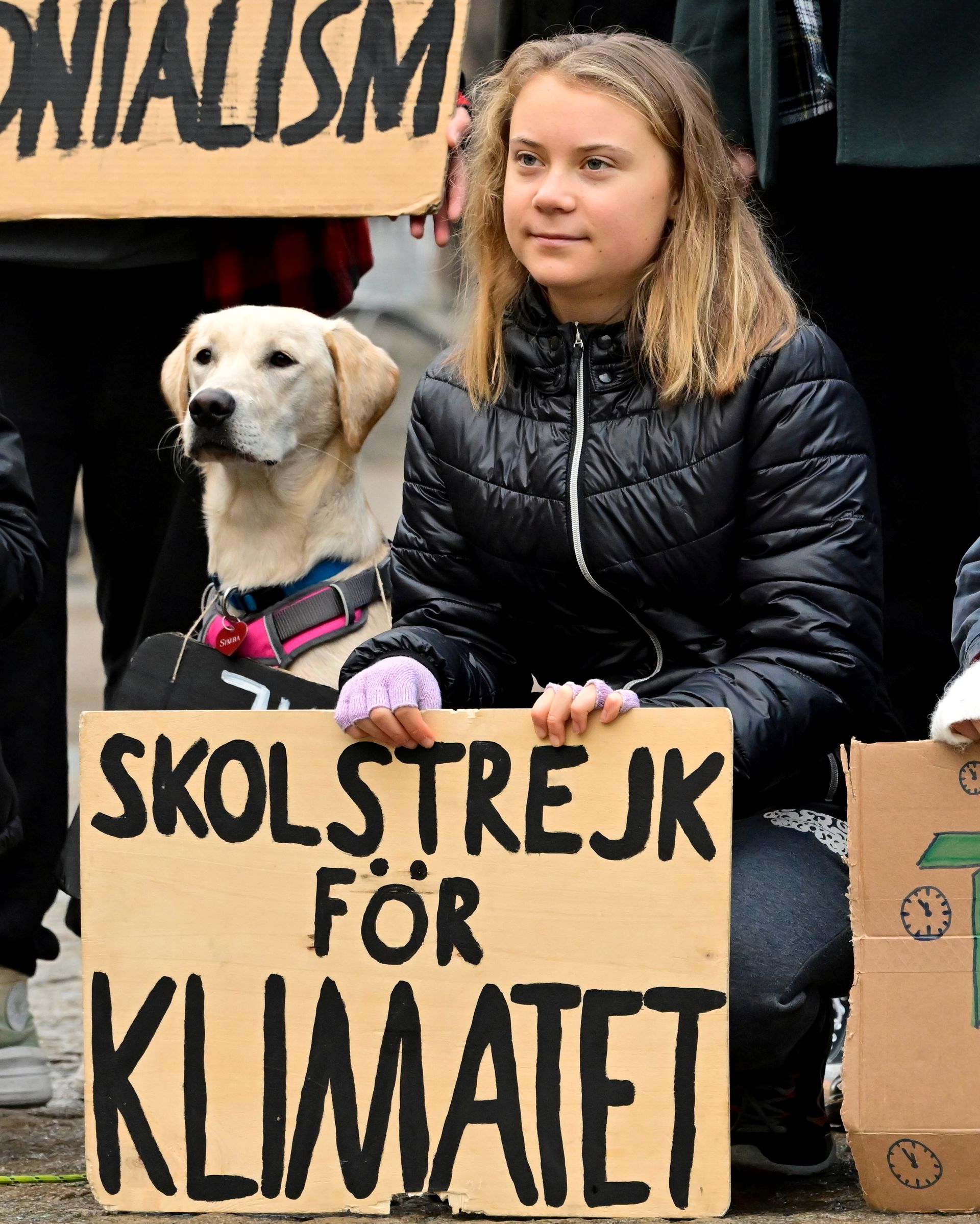 En ung kvinne med langt, mellombrunt hår sitter ved siden av en hund med en plakat der det står "skolstrejk för klimatet".