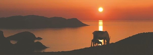 Vidunderlige Finnmark venter