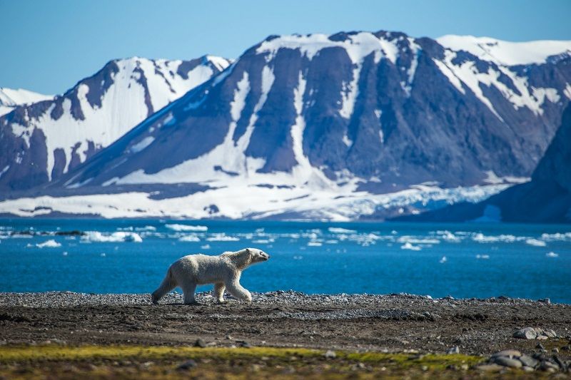 Svalbard – Det ekte Arktis