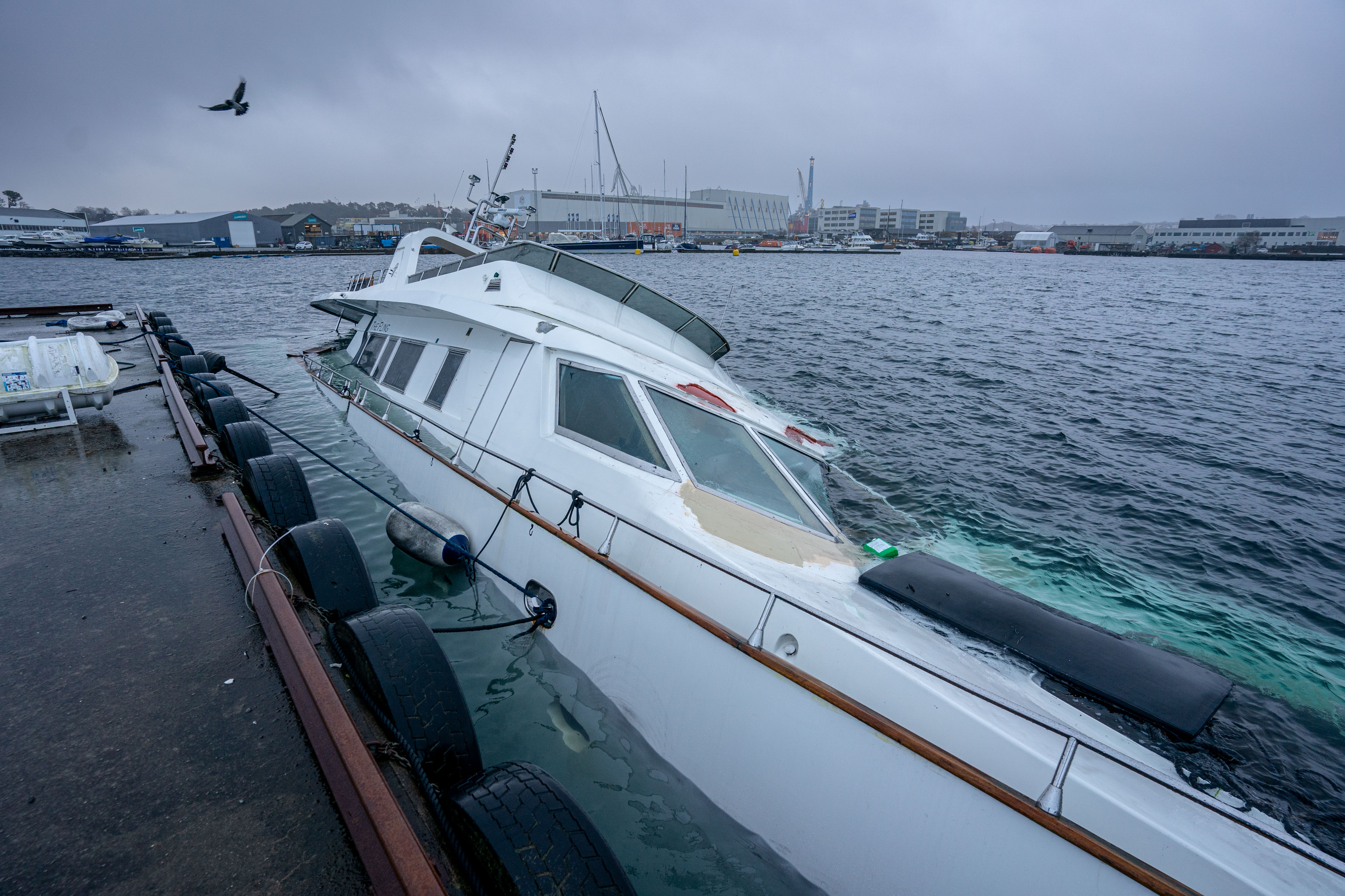 3a02dfe9-3585-47f8-a418-ec5d9f1249f3?fit