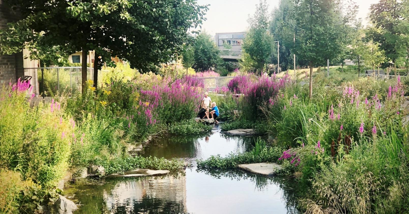 Hovinbekken: Unveiling a Hidden Gem in Oslo’s Urban Landscape