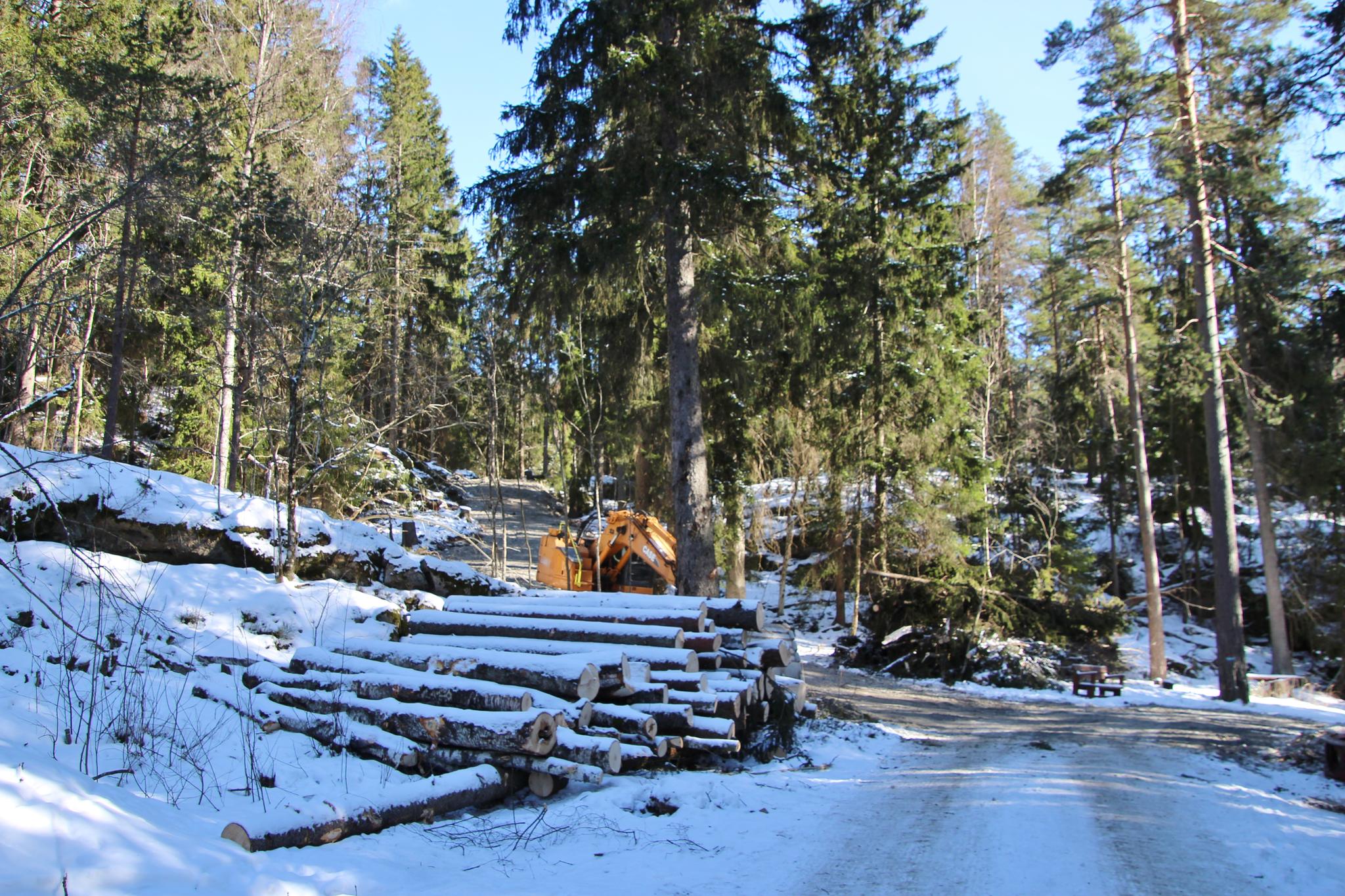 Byggingen av veien har pågått i flere dager, bekrefter Bymiljøetaten.
