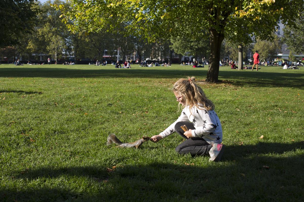 PARKLIV: Tar du med nøtter til parken, vil du bli svært populær blant de mange ekornene. Her har Jenny (9) fått seg en liten venn.