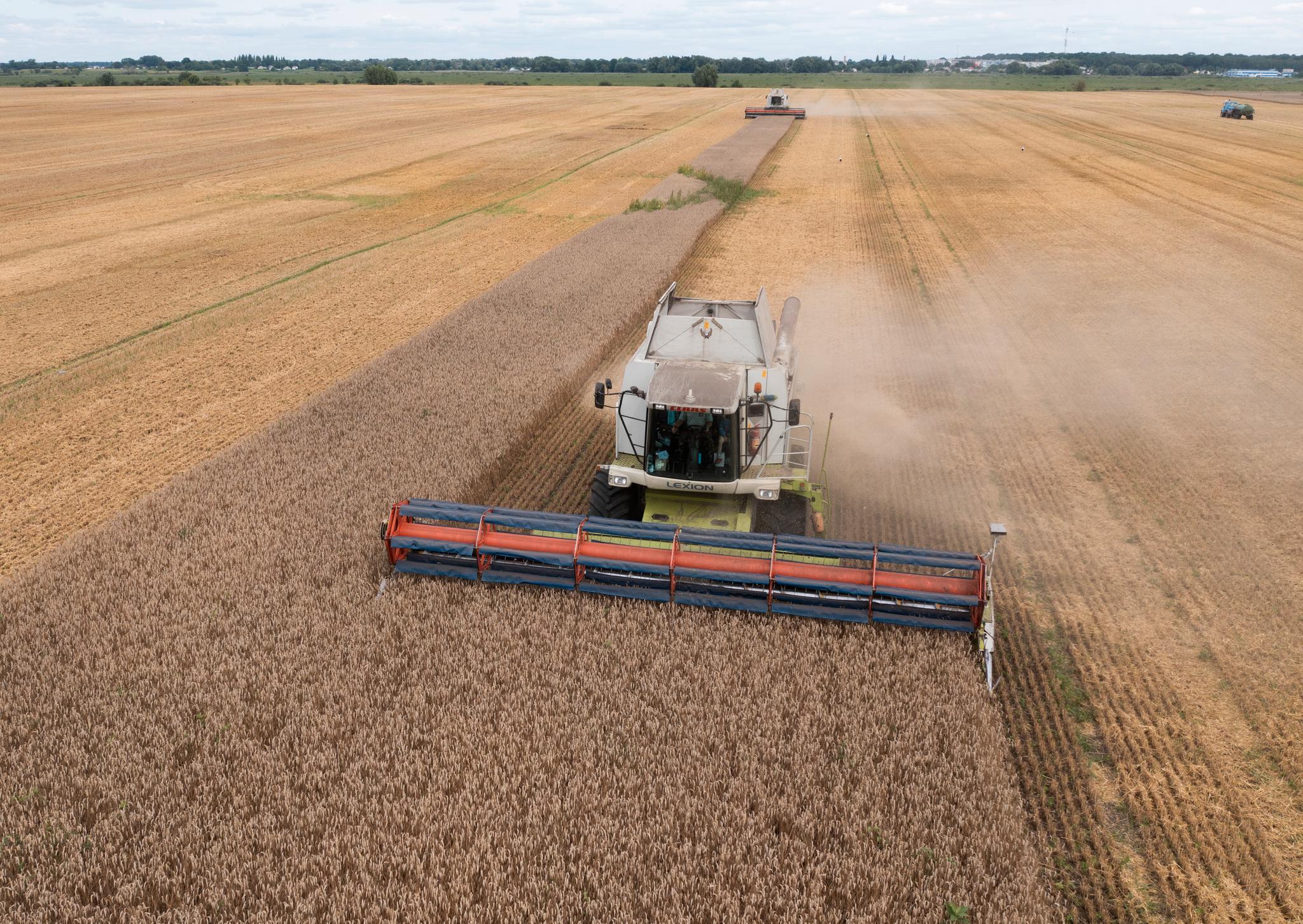 Spørsmålet om ukrainsk korn fortsatt skal finne veien ut i verden gjennom Europa, har ført til heftig debatt mellom EU-landene. Et flertall av landene samt Ukraina har krevd det midlertidige importforbudet fjernet. 