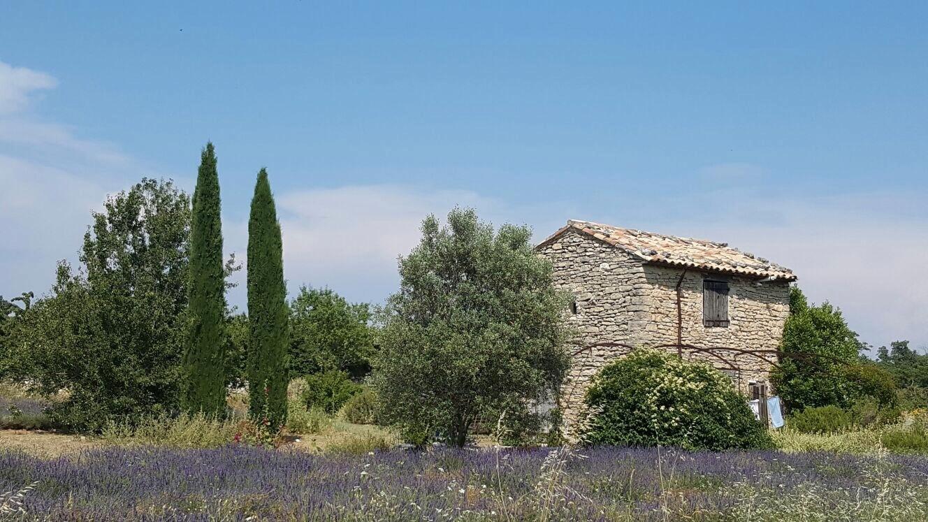 STEINHUS OG LAVENDEL: Noen av bygningene og husene i Provence har stått i over 1000 år. Flere av steinhusene ved åkerlandskapet ble bygget til gjeterne og sauene deres.