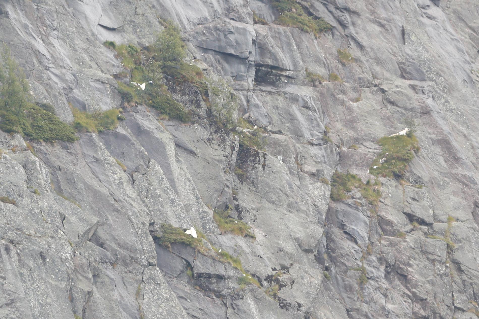 VRAKRESTER: Et småfly styrtet i en fjellvegg i Sør-Aurdal kommune tirsdag kveld. Onsdag morgen lå det noe vrakrester igjen i fjellsiden. 