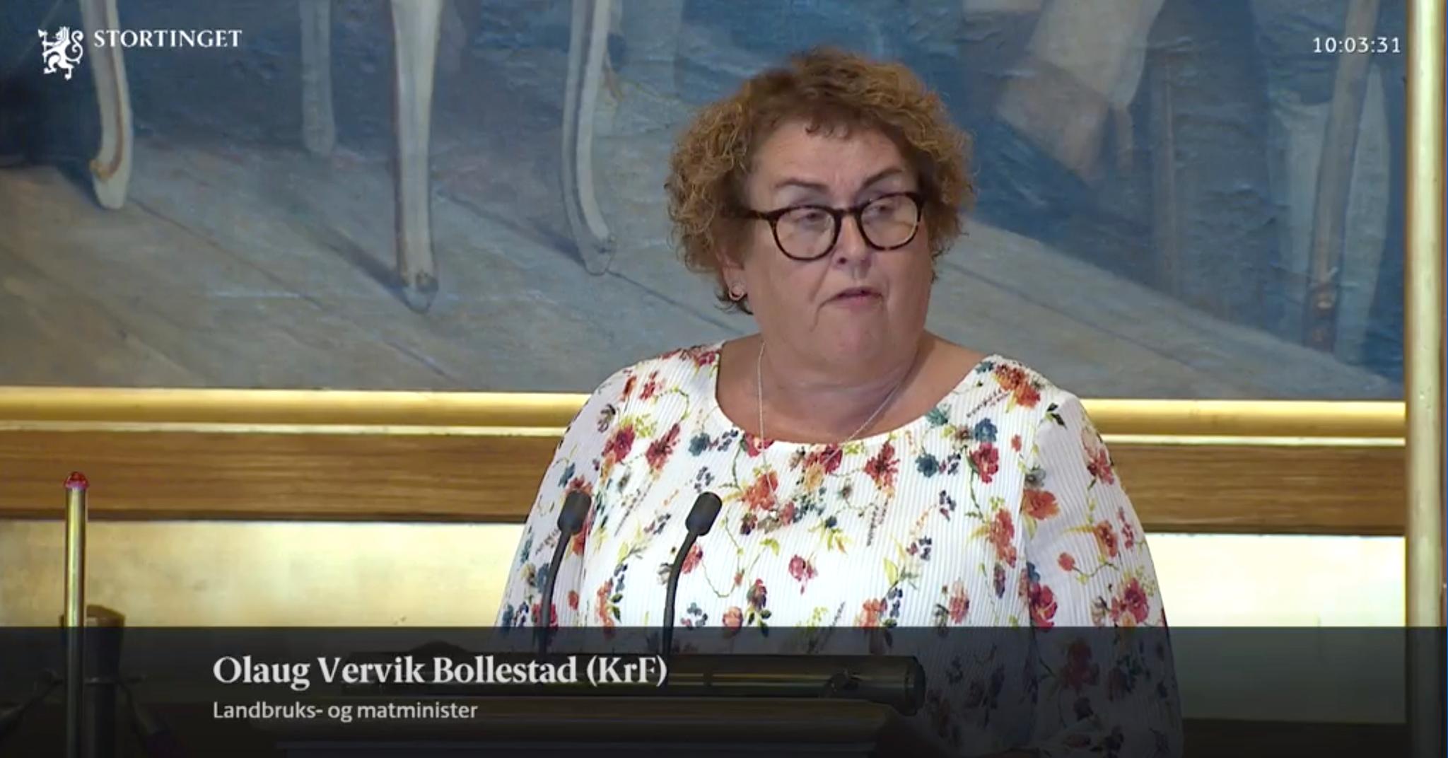 En ny dyrevelferdsskandale preger svinenæringen. Onsdag redegjorde landbruks- og matminister Olaug Bollestad (KrF) i Stortinget. 