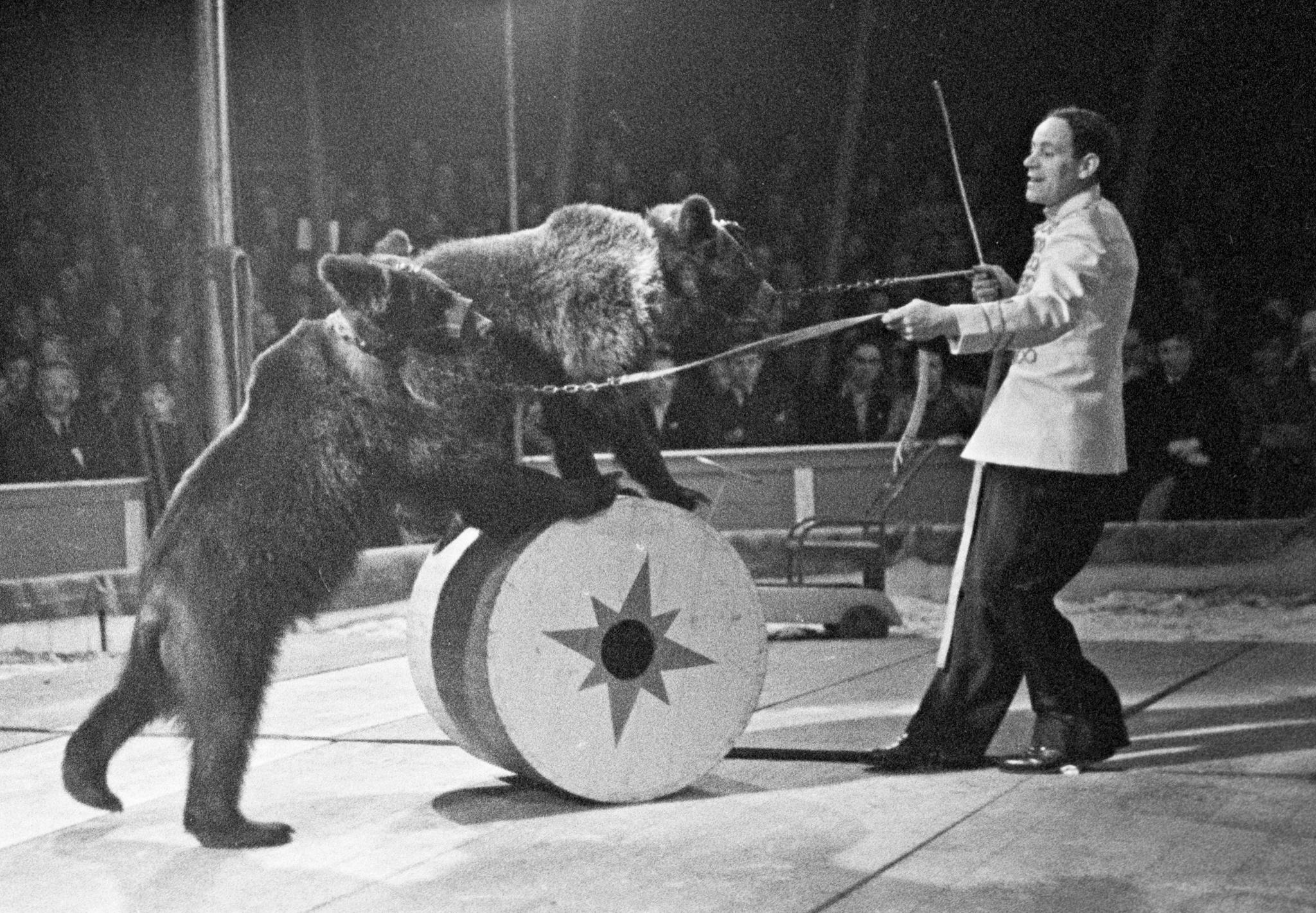 Sirkus Berny er på besøk i Oslo 18.mai 1946. Her med bjørnetemmer Jonny Welde, den eneste nordmannen på sirkuset. 