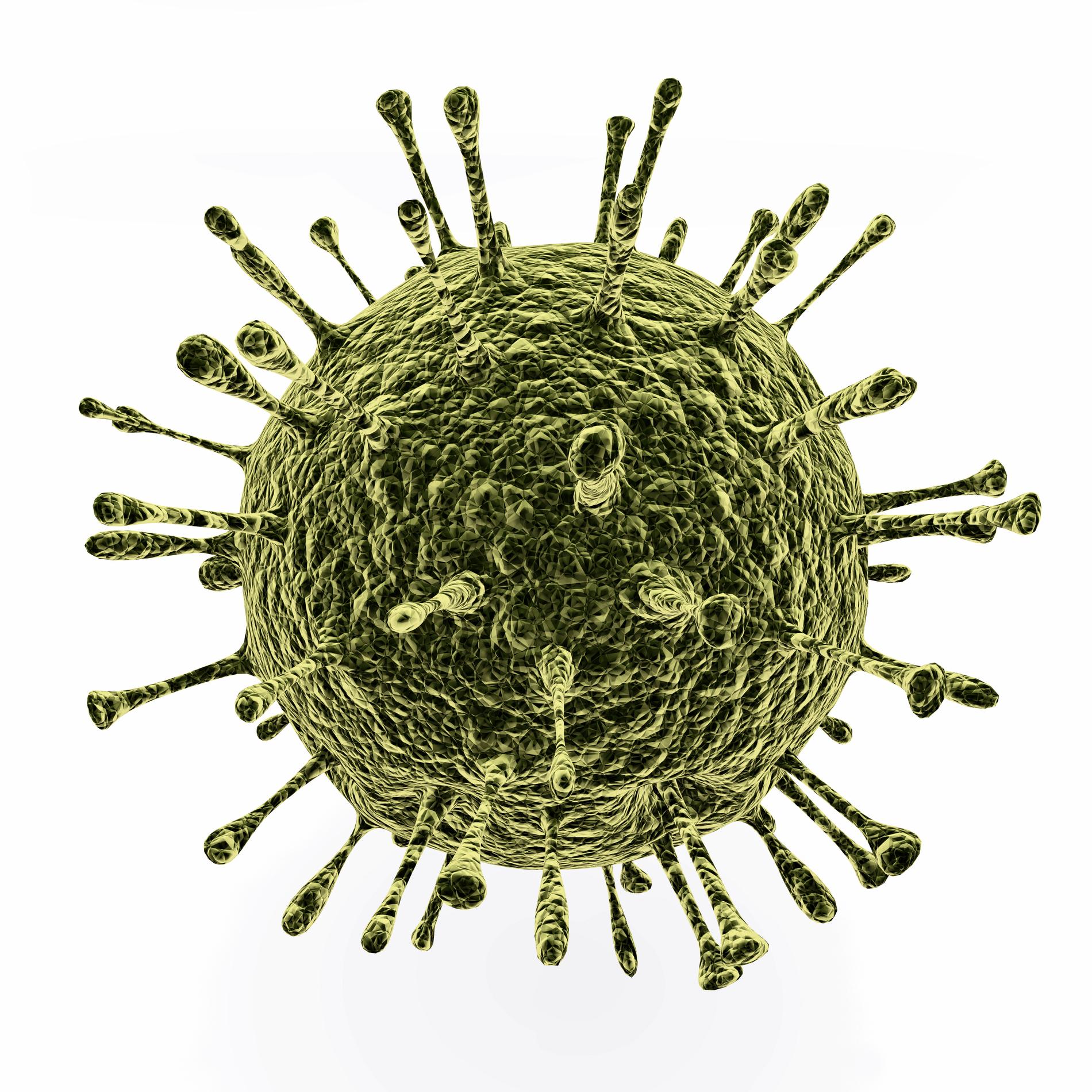 NOROVIRUS: Viruset er svært smittsomt og gir mageproblemer, som oppkast og diaré. Det er normalt ikke farlig.