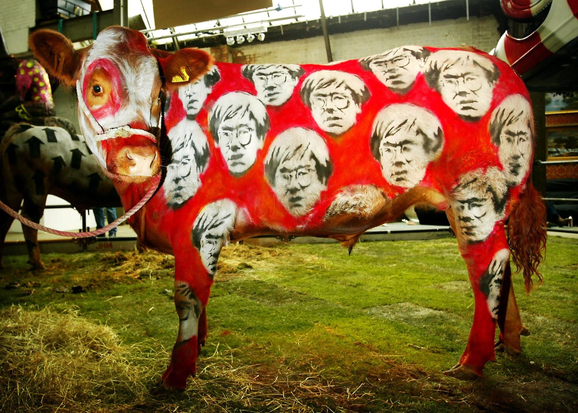 KUNSTKU: Banksy har også dekorert levende dyr, som denne rødmalte kuen med portretter av Andy Warhol.