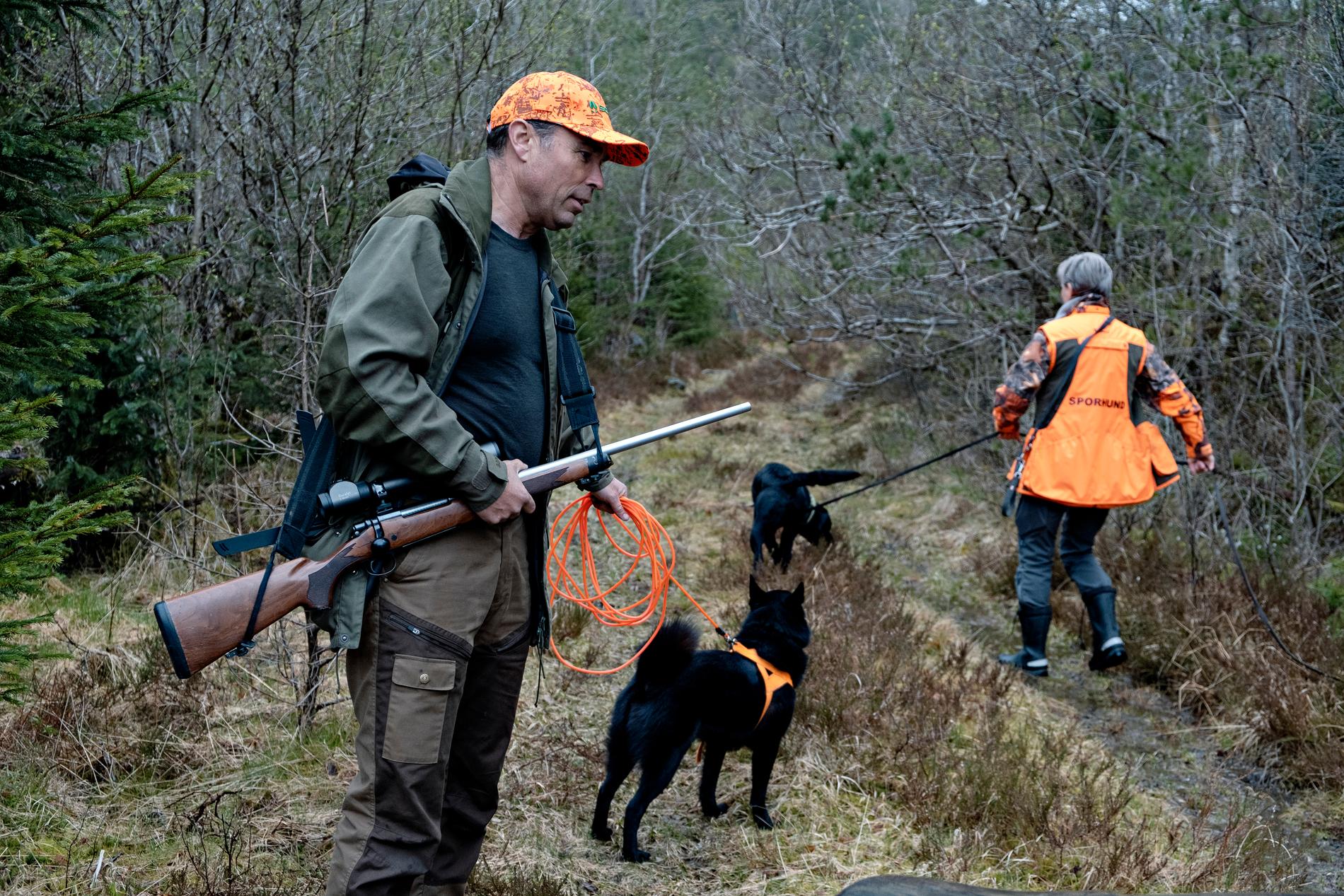 Jaktleder Stein Mortensbakke har ledet jakten på ulven de siste årene. Han sier jakten på ulven er krevende.
