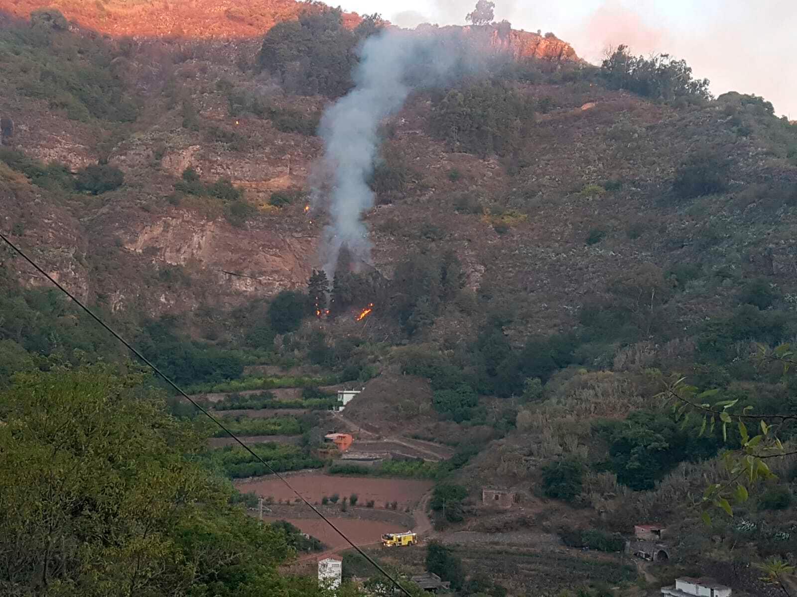 Det brenner i skogen i Valleseco på Gran Canaria. De aller fleste evakuerte fra storbrannen har fått vende hjem. Foto: AP / NTB scanpix