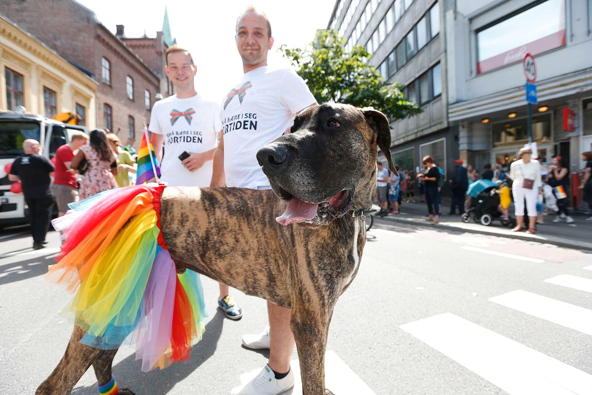 Hunden heter Rolf - men er en tispe. Hun støtter sin matmor - eller matfar Martin i Prideparaden.