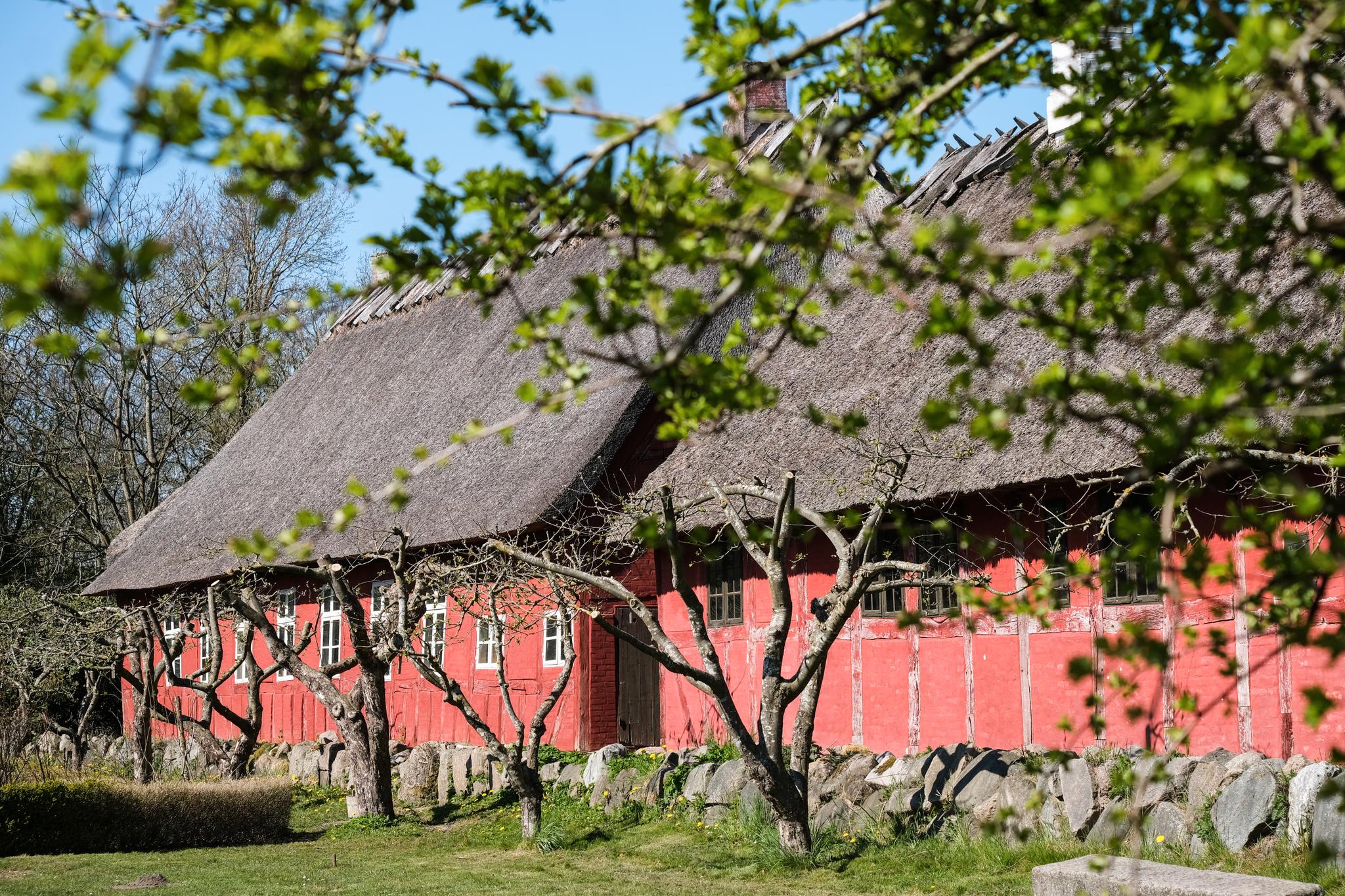 På friluftsmuseet Den fynske landsby finner du 25 historiske bygninger fra Fyn, Ærø og Langeland.