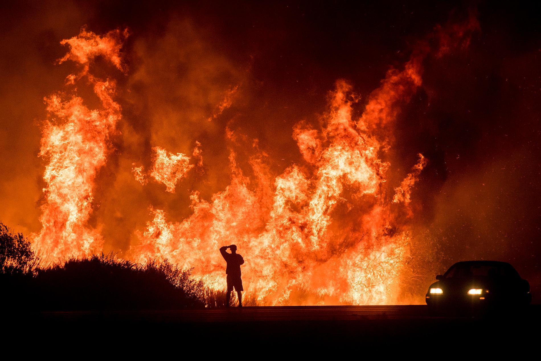 DØDSBRANN: En mann ser på flammehavet nord for Ventura i California. Minst en person er bekreftet omkommet i brannene som herjer delstaten. 