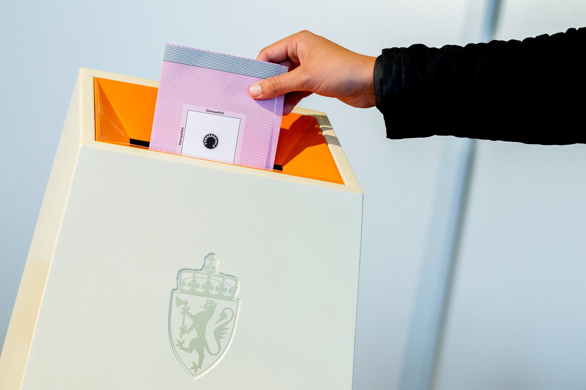 VALG: Åtte mindre partier har stilt med lister i Hordaland foran mandagens stortingsvalg. 