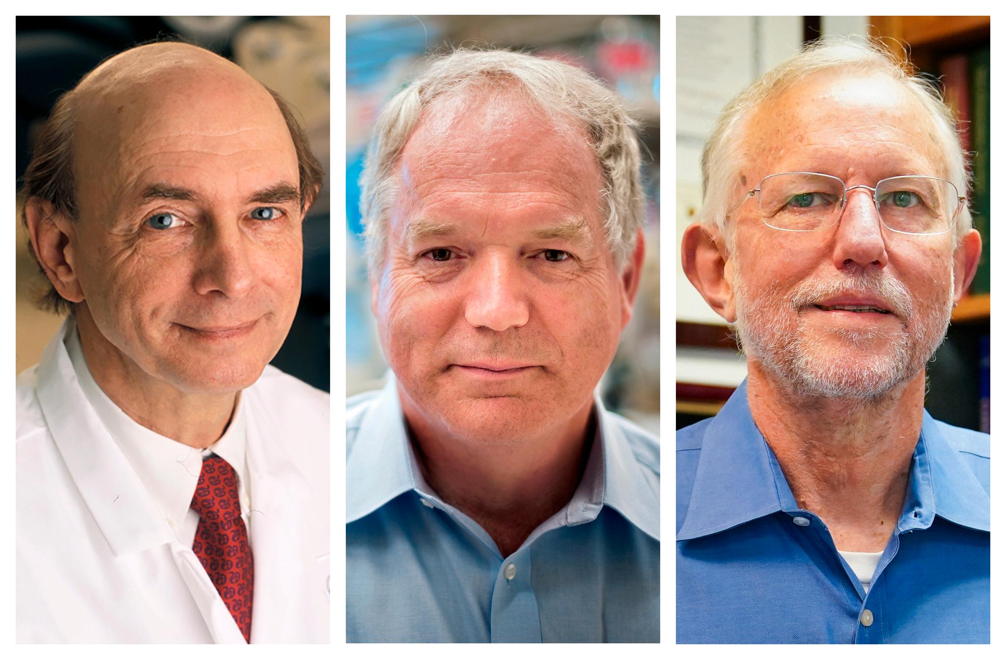 Nobelprisvinnerne: Harvey J. Alter, Charles M. Rice og Michael Houghton