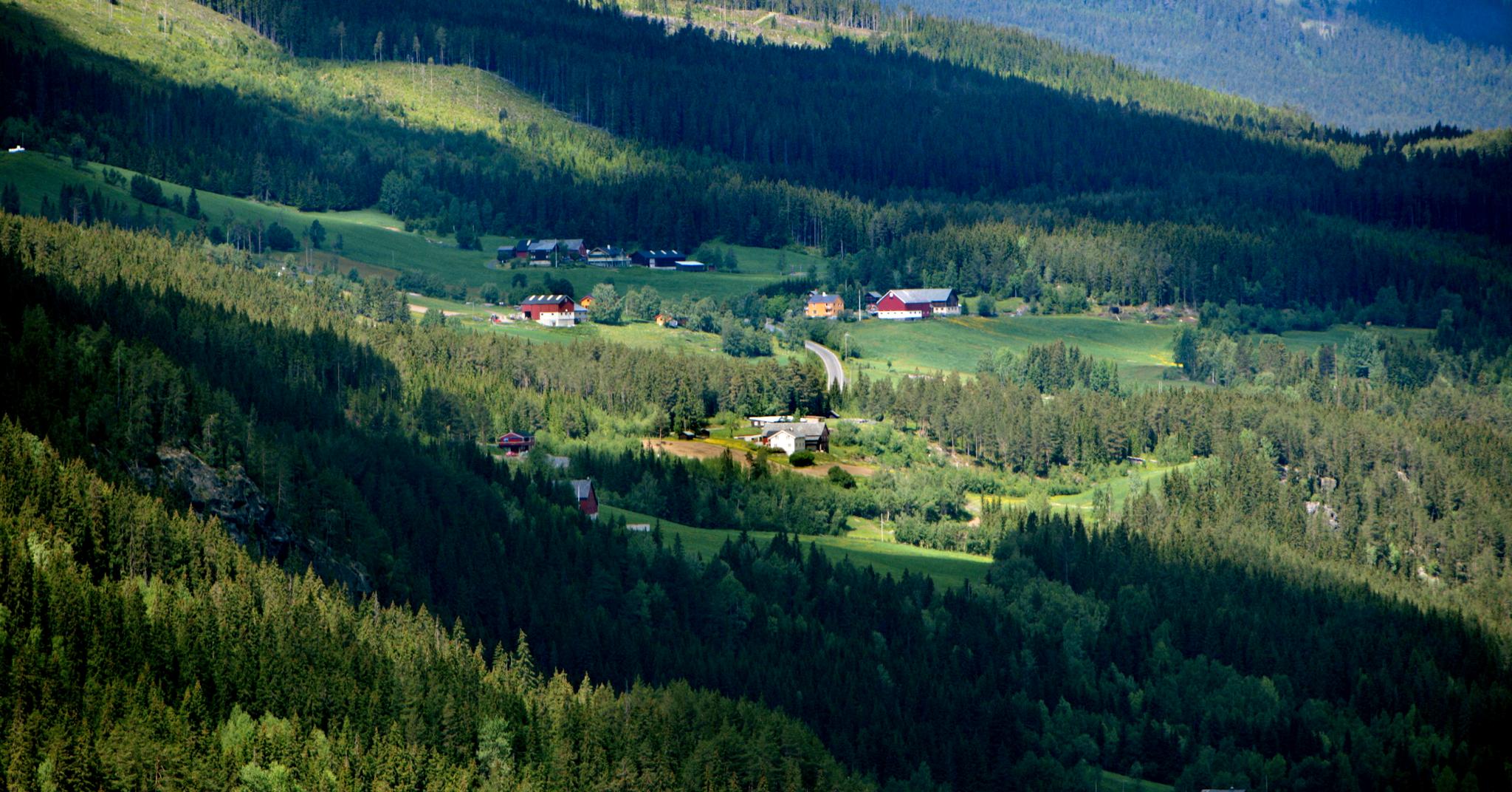 Valdres (Illustrasjonsfoto): Folk som bor på landsbygda skiller seg kraftig fra Oslos innbyggere i synet på hvilke tema er viktigst for dem.  