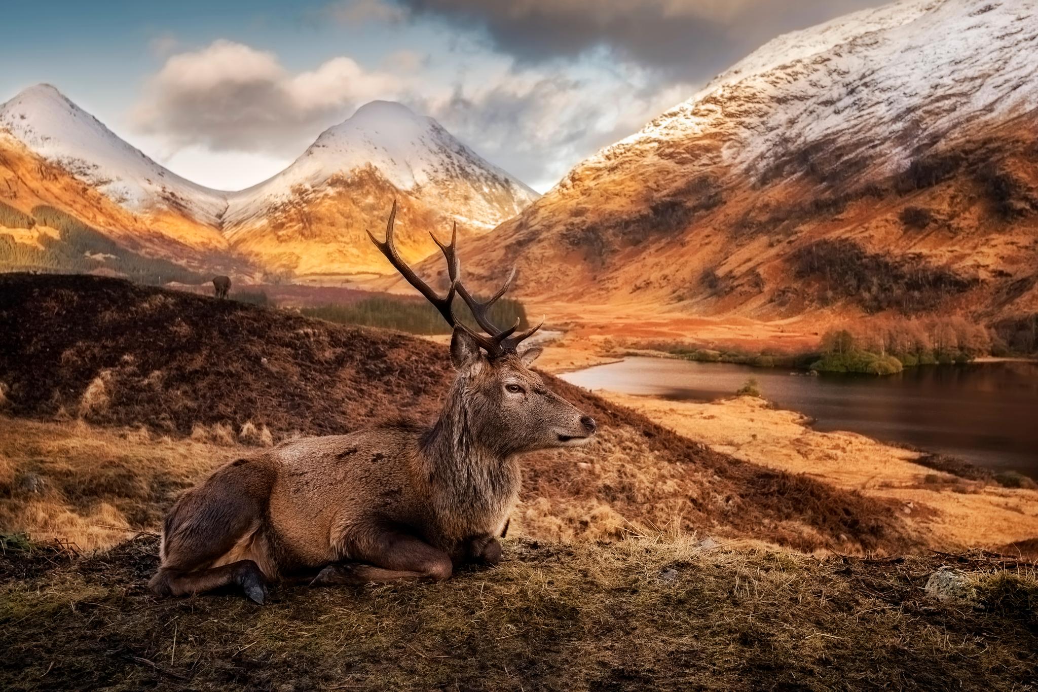 FOTOREISEN: Irske Pawel Zygmunt vant fotoreise-klassen med sin serie fra Glencore og Loch Etive i Skottland. Dette er eneste klassen hvor det tillates at bildene er tatt utenfor Norden.