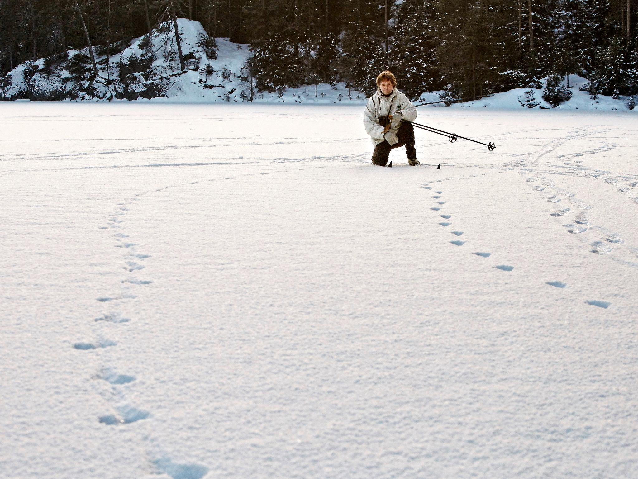 For ti år siden hadde forsker Petter Wabakken med seg Aftenposten på ulvesporing i Østmarka. Bildet er fra Losbyvassdraget.