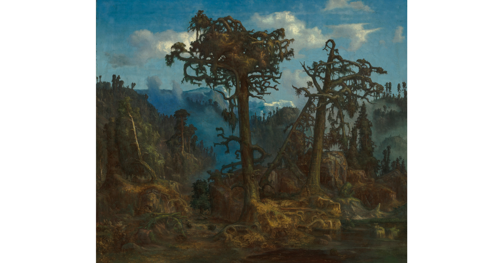 «Gamle furutrær» fra 1865 av kunstneren Lars Hertervig skal vises i Madrid fra 16. mars.