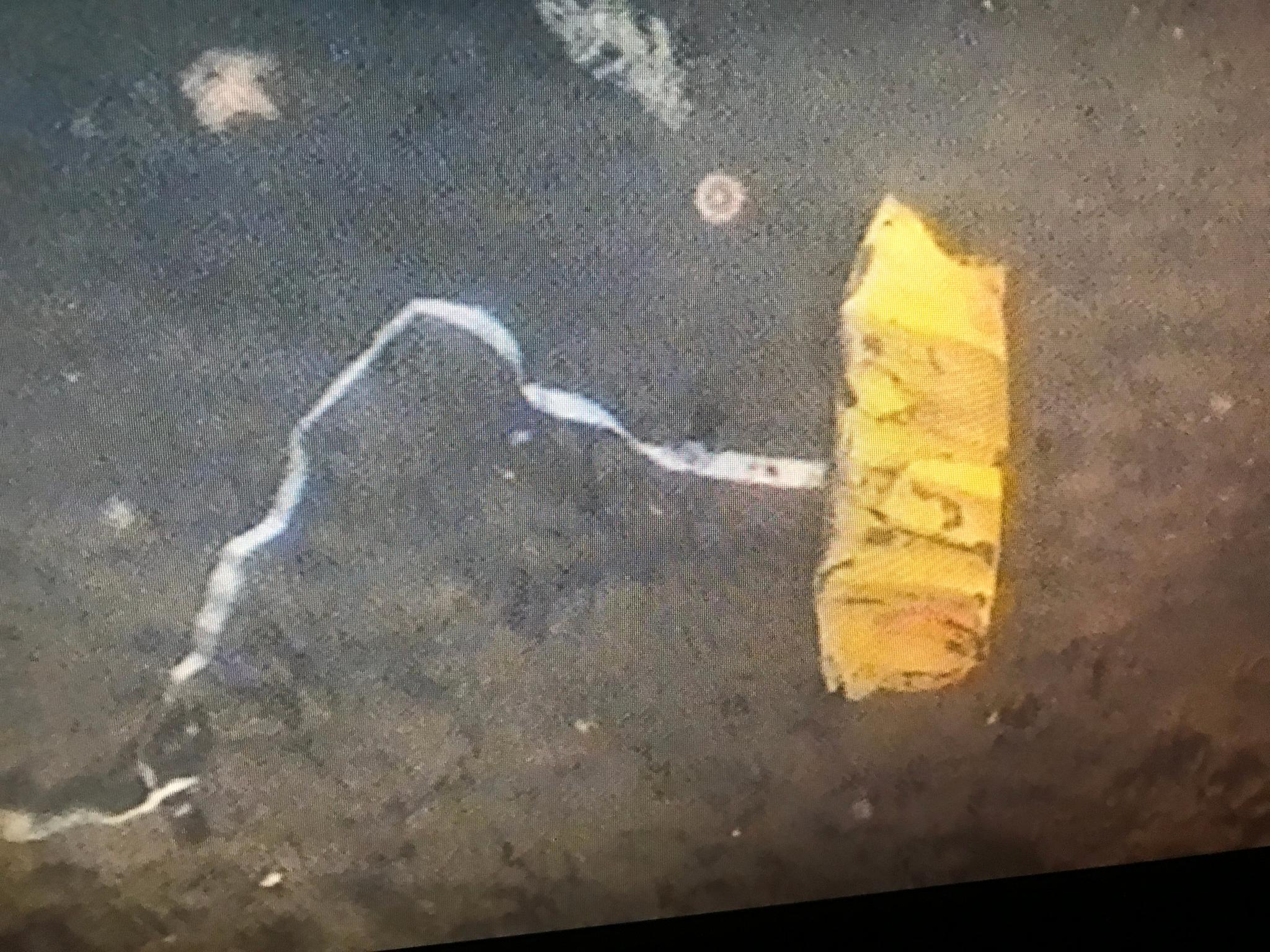 En redningsvest ble funnet på 90 meters dyp.