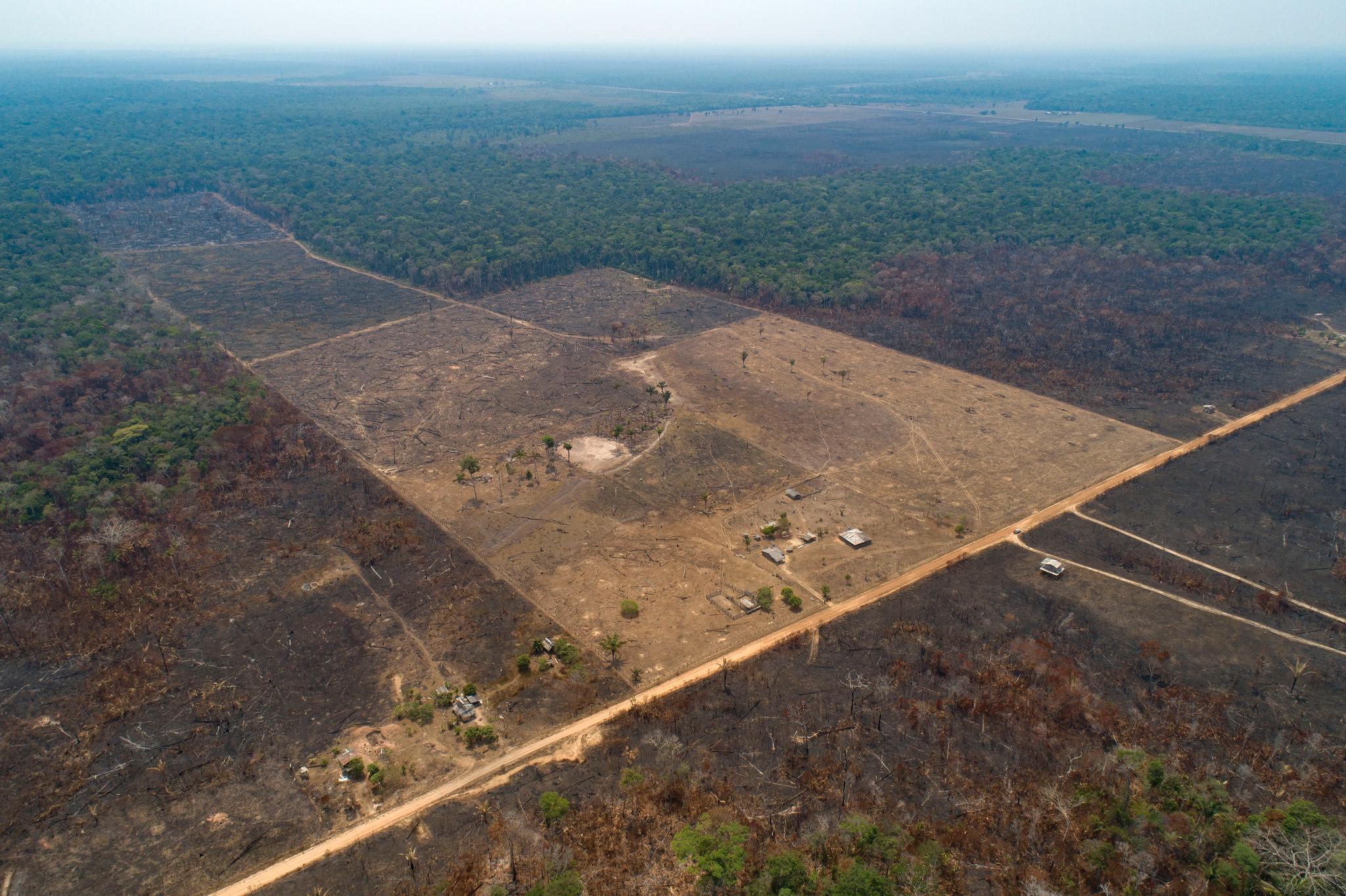 Dette bildet viser områder ved Canatuma der kvegbønder har ryddet skogen. 