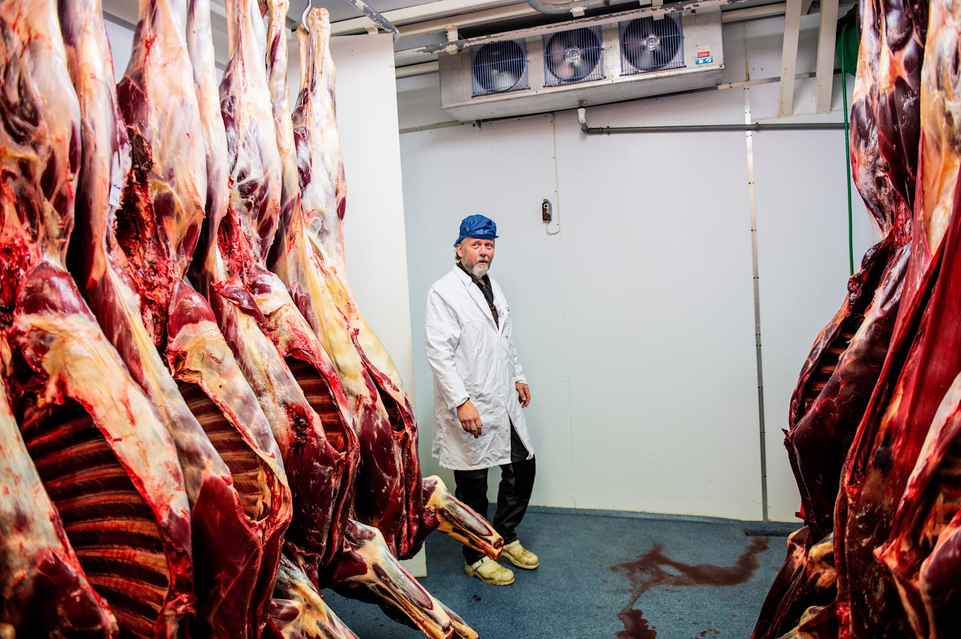 Slaktet 17 Elg Pa Ei Helg