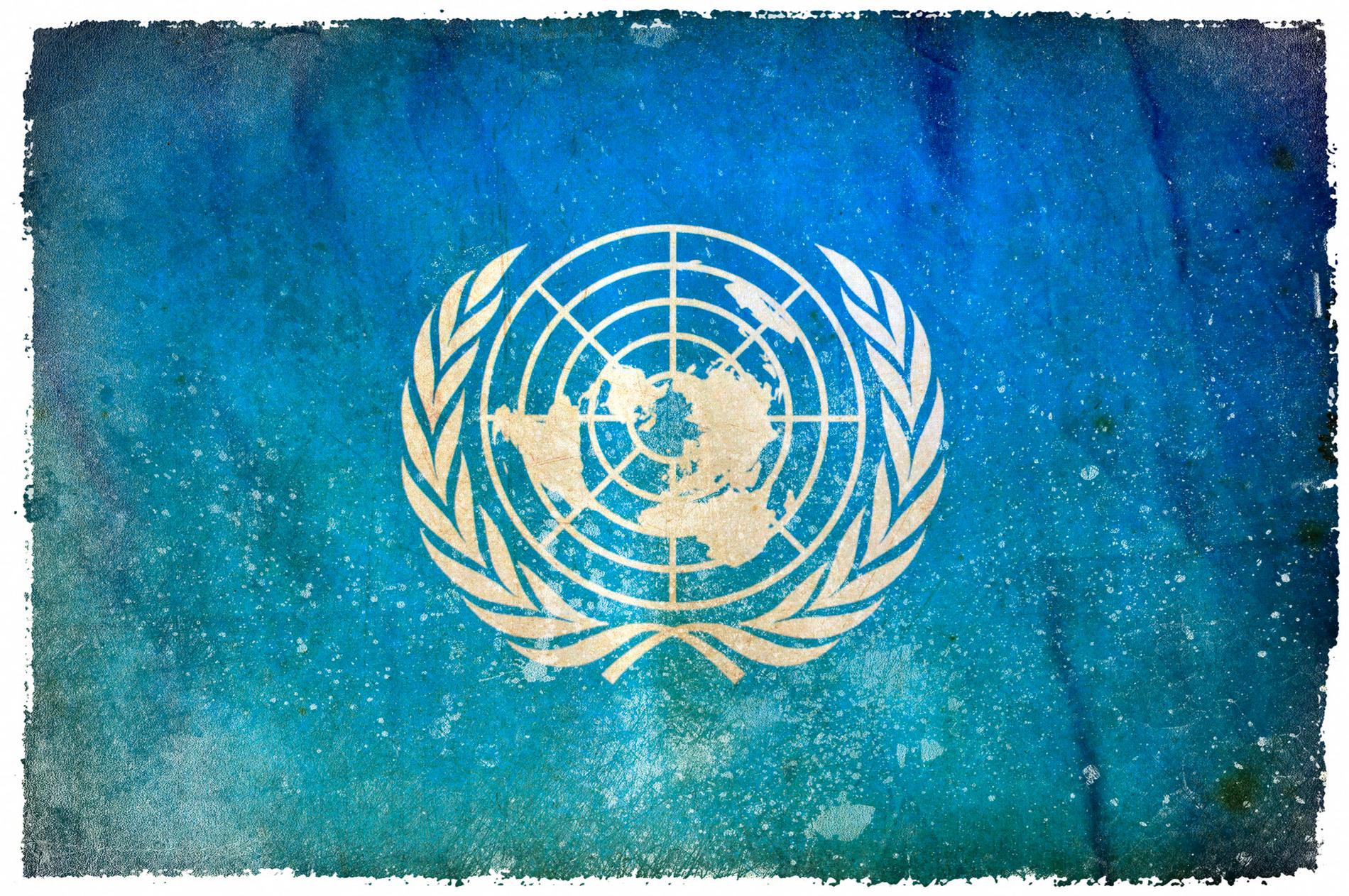 «Siden 1999 har Organization of Islamic Cooperation ved ulike anledninger foreslått i FN å integrere religionskrenkelser i menneskerettighetslovgivningen», skriver Seniortanken.