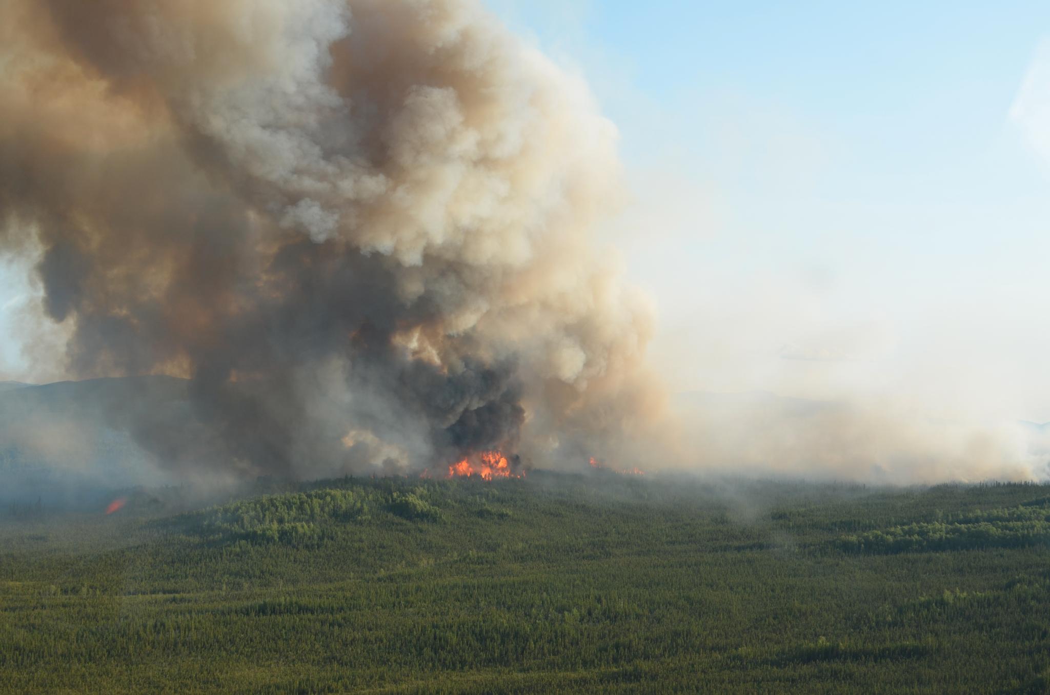 Når en eldre nordamerikansk barskog brenner, bruker systemet ca. 90 år på å binde samme mengde karbon som frigjøres i brannen. Med to branner på kort tid, viser estimatene at denne tiden forlenges med mer enn 150 år. 