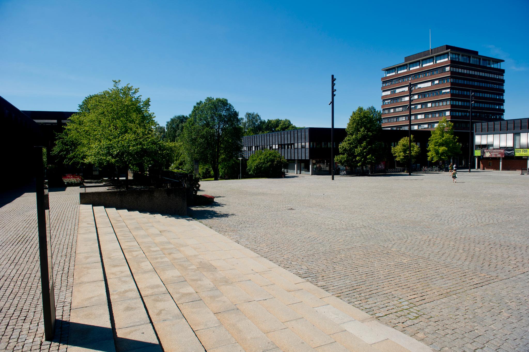 Blindern campus ved Universitetet i Oslo (UiO). Foto: Jon Olav Nesvold / NTB scanpix.