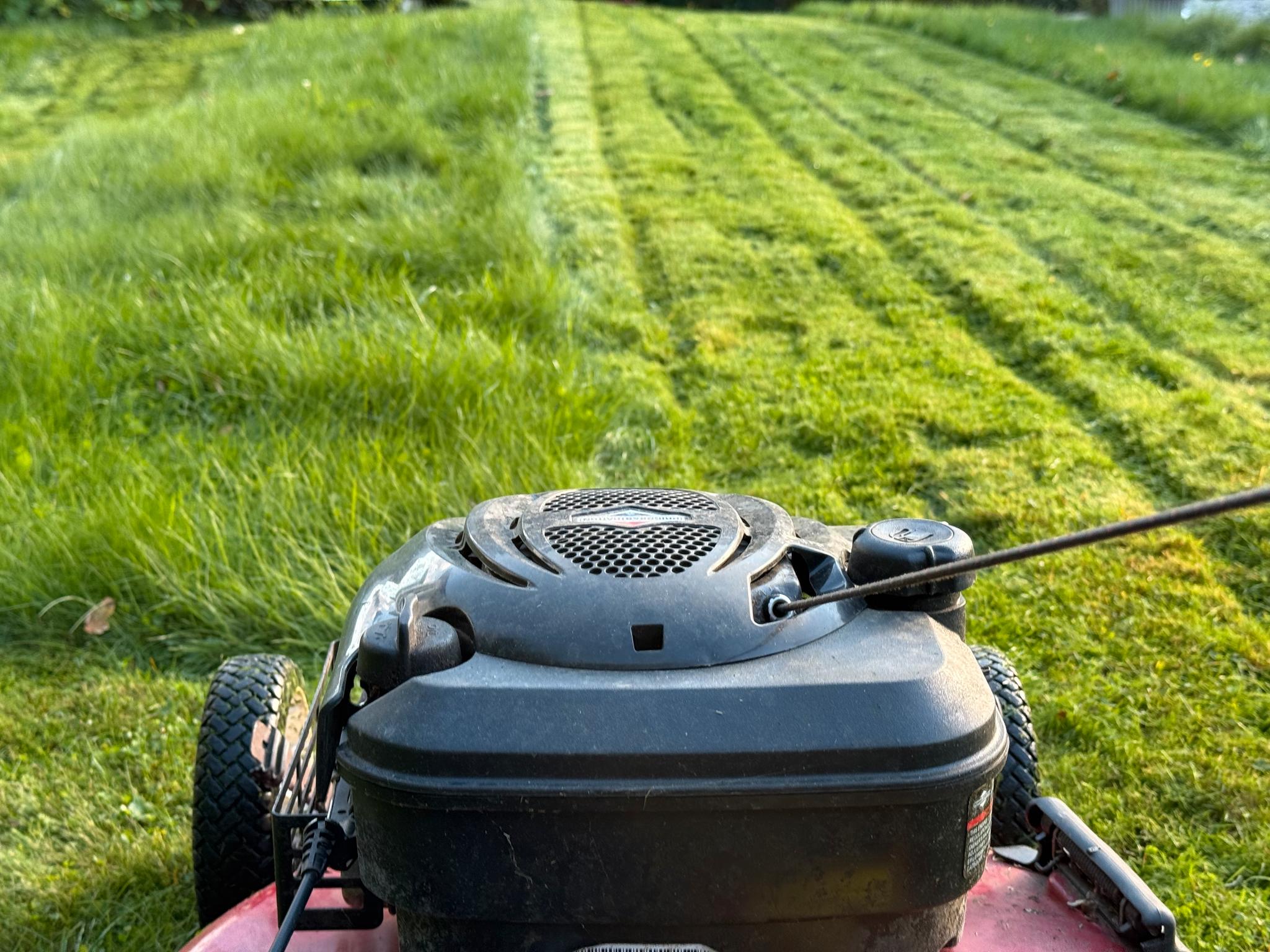 Bør du ta en siste gressklipp før vinteren? Forskeren er ikke i tvil.