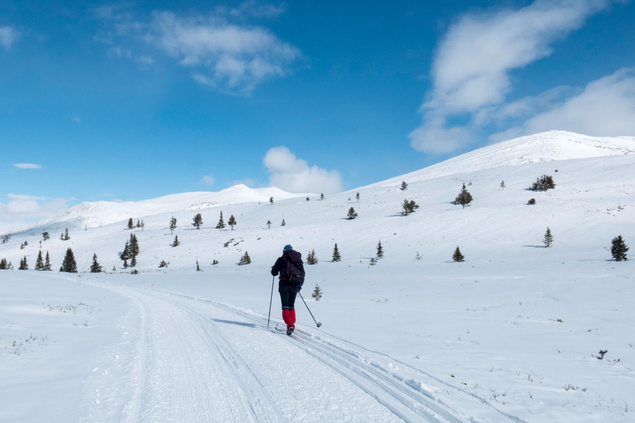 Uvanlig mye snø har gjort vinteren til en fest for langrennselskere. Alt tyder på at skiføret holder godt i starten av påskehøytiden. 