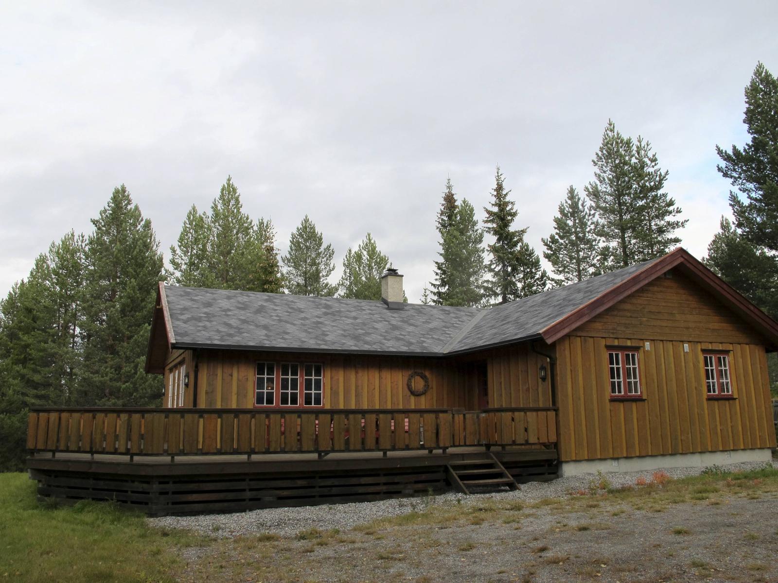 NESBYEN: Sommerferien kan tilbringes på denne hytta på Natten ved Nesbyen, som tilbys gjennom Norgesbooking for 6100 kroner uken.
