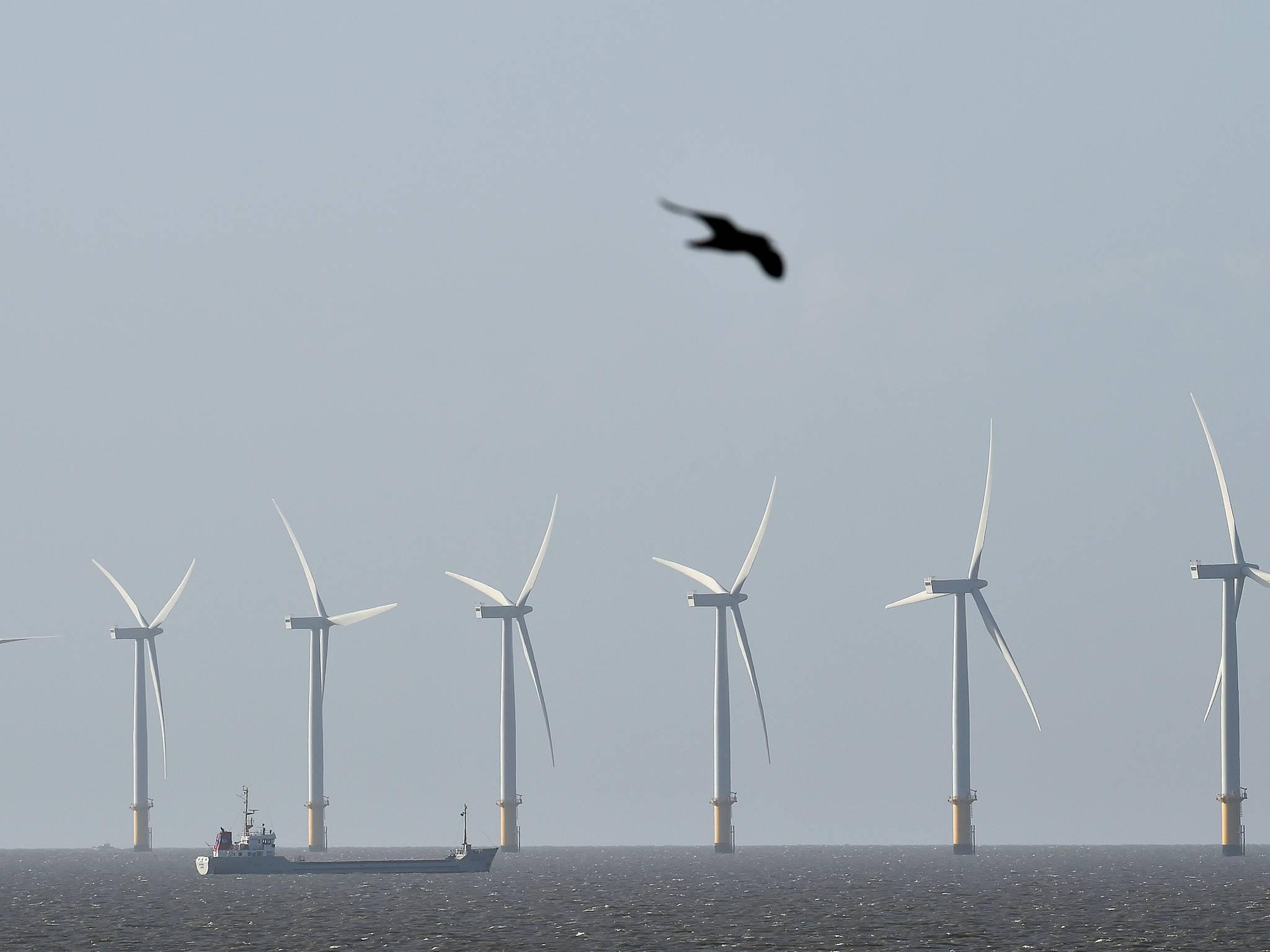 Denne offshore-vindparken i Den engelske kanal er en av mange vindparker som er dukket opp rundt den britiske kysten de siste årene.